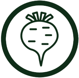 MACA